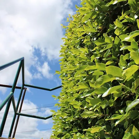 Moradia Stephanie بيت للعطل فونشال