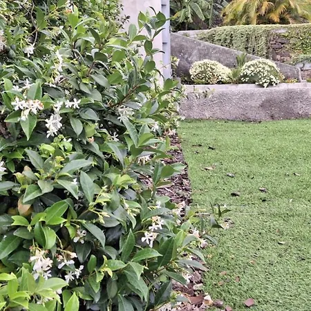 Moradia Stephanie بيت للعطل *