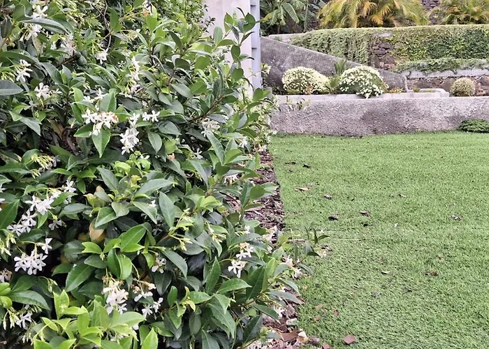 Moradia Stephanie Сasa de vacaciones *