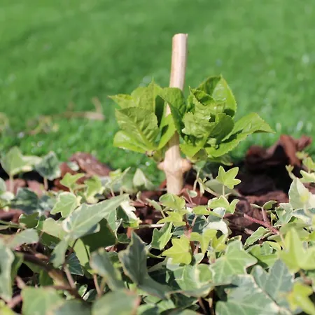 Casa vacanze Moradia Stephanie