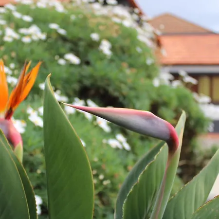 Moradia Stephanie Σπίτι διακοπών Φουνκάλ