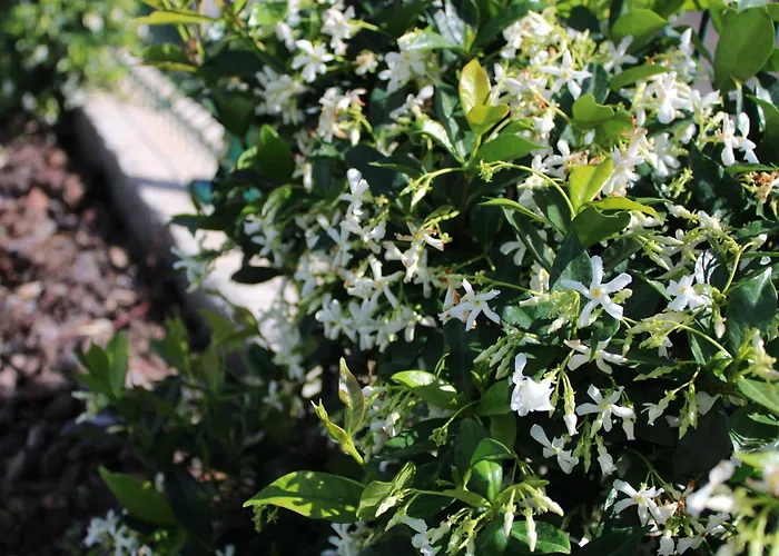 Moradia Stephanie 別荘 *