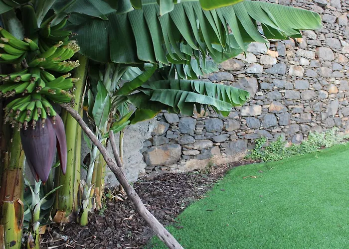 Moradia Stephanie Nyaraló