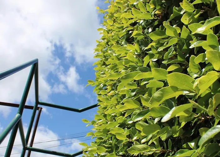 Moradia Stephanie Nyaraló Funchal